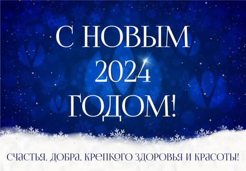 Поздравляем с наступающим Новым 2024 годом! 