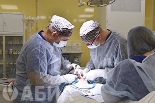 Протез яичка имплантируется в мошонку