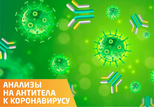 Анализы для определения антител к COVID-19